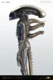 【Pre order】Deep Tale Studio 1/3 H.R. Giger’s Alien