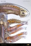 【Pre order】Deep Tale Studio 1/3 H.R. Giger’s Alien