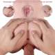 11.8” Realistic Doll Male Masturbator with Breast Pussy Ass