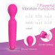 Sucking Clitoris Stimulator and Wand Massager