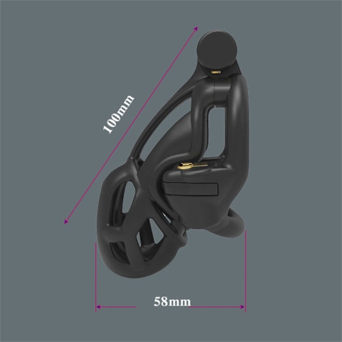 Double Lock Design Male Chastity Device