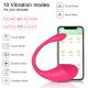 Buyging™ Low Noise APP Control Wearable Vibrating Egg Clit Female Panties