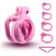 ABS Resin Chastity Device with 4 Different Sizes Rings
