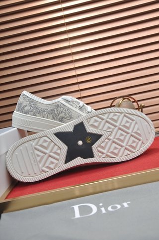 DIOR Walk'n'Dior Platform Shoes Low-Top Stylish Skateboarding Shoes Women's Gray