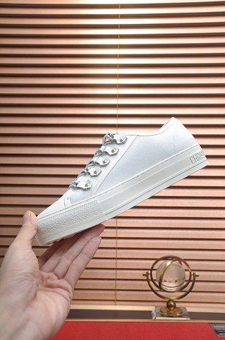 Dior Walk'N'Dior Low Top White Canvas (W)