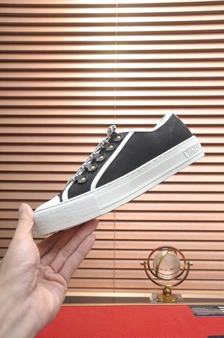 Dior Walk'N'Dior Low Top Black Canvas (W)