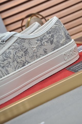 DIOR Walk'n'Dior Platform Shoes Low-Top Stylish Skateboarding Shoes Women's Gray