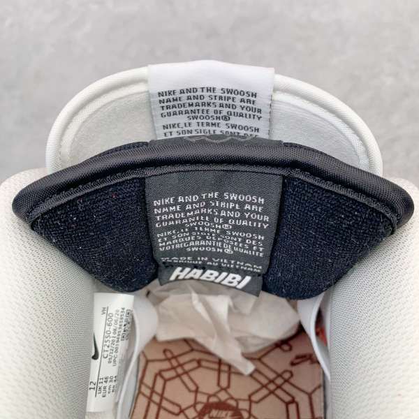 Nike Dunk SB Low Skate Habibi