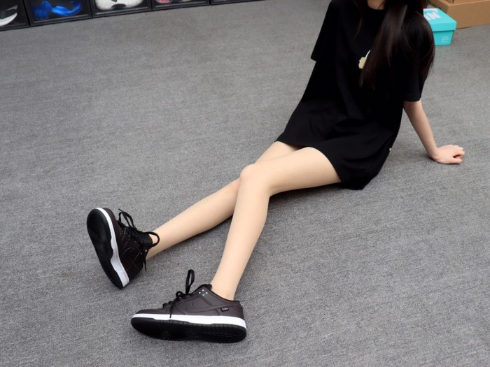 Nike Dunk SB Low Civilist