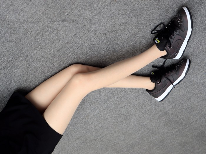 Nike Dunk SB Low Civilist