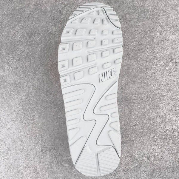 Nike Air Max 90 Euro Tour (2020)