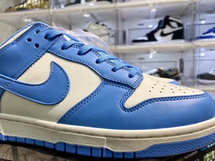 Nike Dunk Low Coast (W)