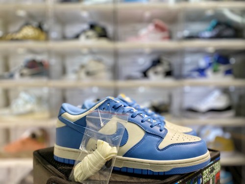 Nike Dunk Low Coast (W)