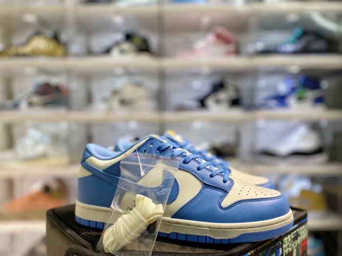 Nike Dunk Low Coast (W)