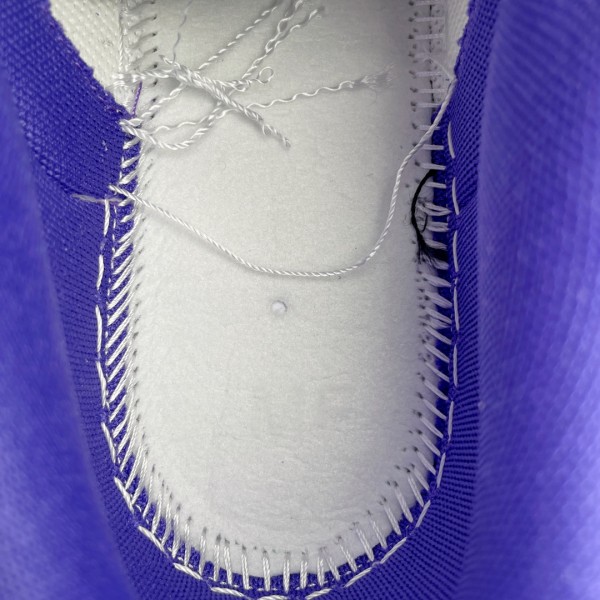 Nike Dunk Low Championship Court Purple