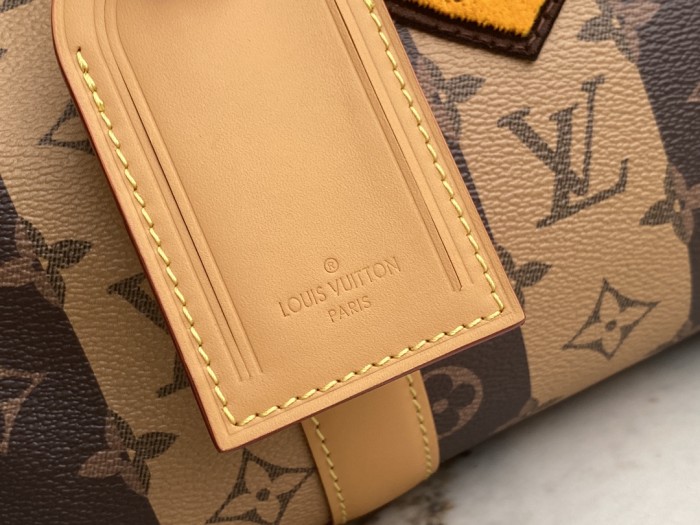 Handbag Louis Vuitton M45963 size 17x27x13cm