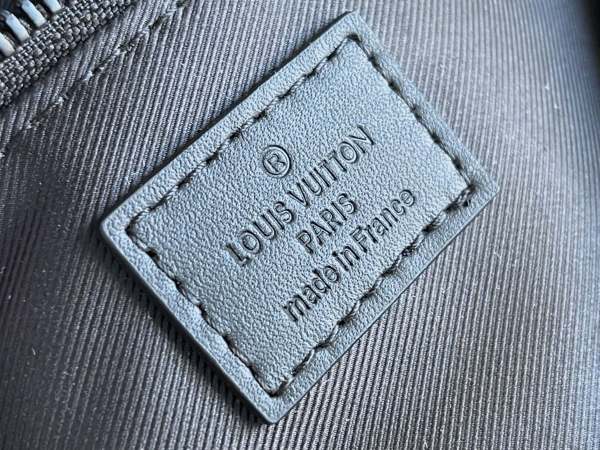 Handbag Louis Vuitton M58487 size 21 x 15 x 4 cm