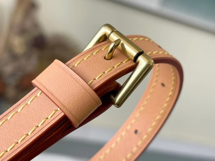 Handbag Louis Vuitton M51221 size 25x18x8cm