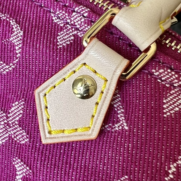 Handbag Louis Vuitton M95052 size 16*12.5*10cm