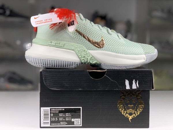 Nike LeBron Ambassador 13 Empire Jade