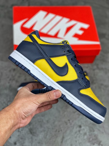 Nike Dunk Low Michigan (2021)