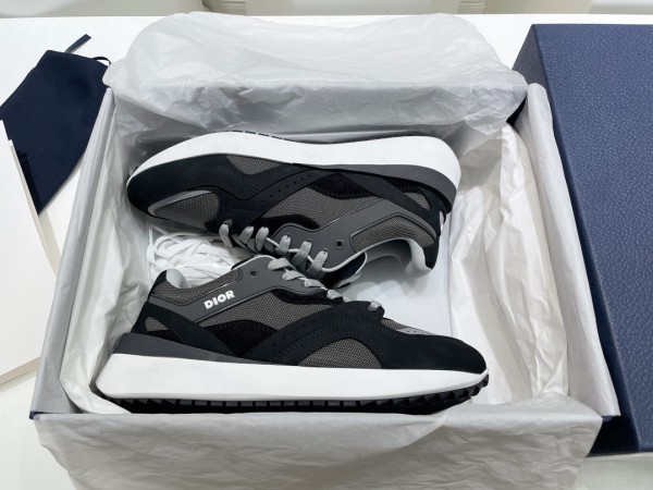 Dior B29 Grey Black White