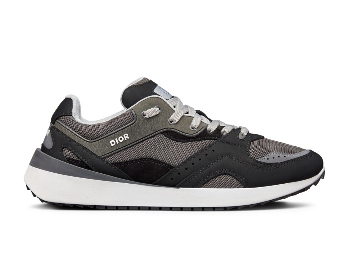 Dior B29 Grey Black White