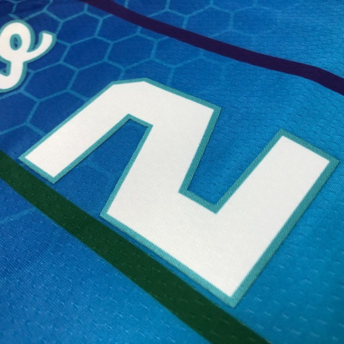 Basketball Jerseys Charlotte Hornets