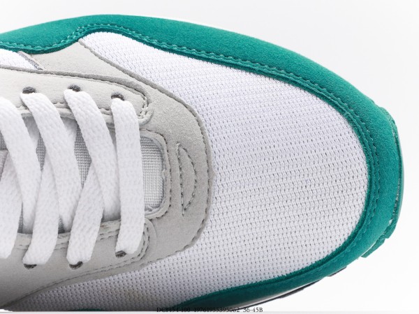 Nike Air Max 1 Anniversary Green (2020)