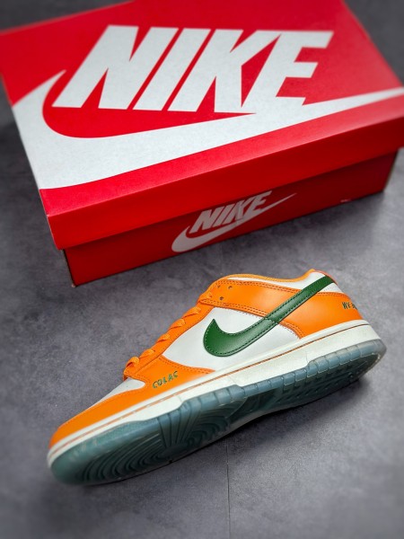 Nike Dunk Low Florida A&M University