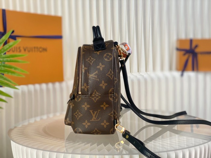 Handbag Louis Vuitton M44873 mini size 17x22x10cm