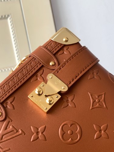 Handbag  Louis Vuitton  M21741 size 21x 14x 6 cm