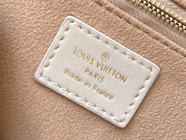 Handbag  Louis Vuitton  M45392 size 20*14*8 cm
