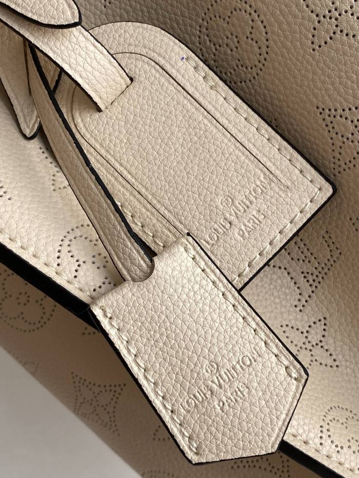 Handbag  Louis Vuitton  M55799  size  25×25×20 cm