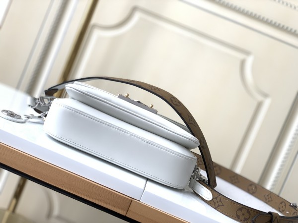  Handbag   Louis Vuitton  M20395  size  24.0 x 15.0 x 6.0 cm