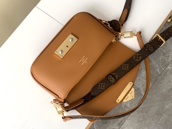  Handbag   Louis Vuitton  M20396  size  24.0 x 15.0 x 6.0 cm  