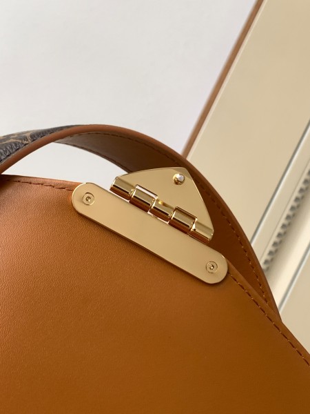  Handbag   Louis Vuitton  M20396  size  24.0 x 15.0 x 6.0 cm  