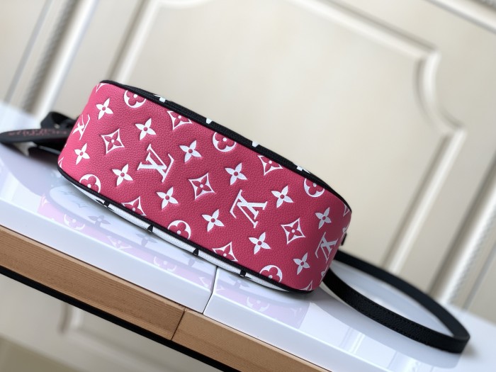 Handbag   Louis Vuitton  46091  size  22 x 14 x 9  cm