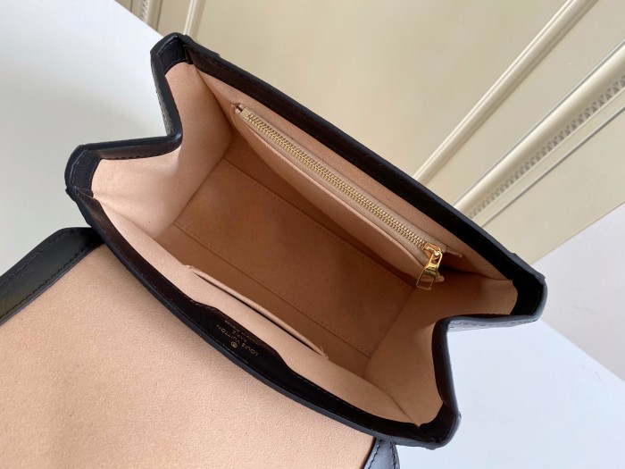 Handbag  Louis Vuitton  M45908  size  21x18x11 cm 