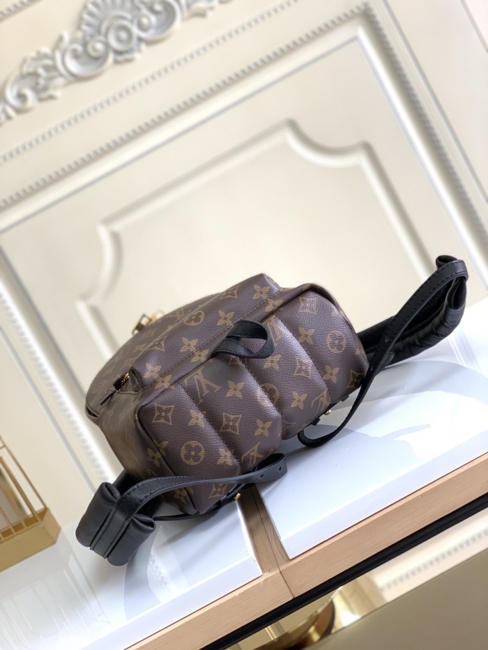  Handbag   Louis Vuitton  M41560   size   20×31×10  cm