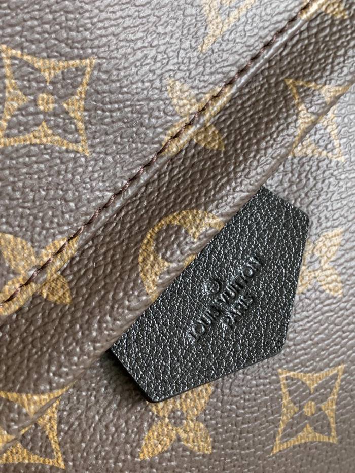  Handbag   Louis Vuitton  M41560   size   20×31×10  cm