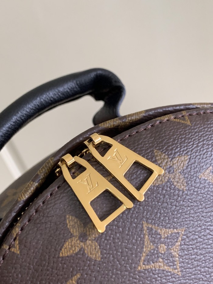  Handbag   Louis Vuitton  M41560   size   20×31×10  cm