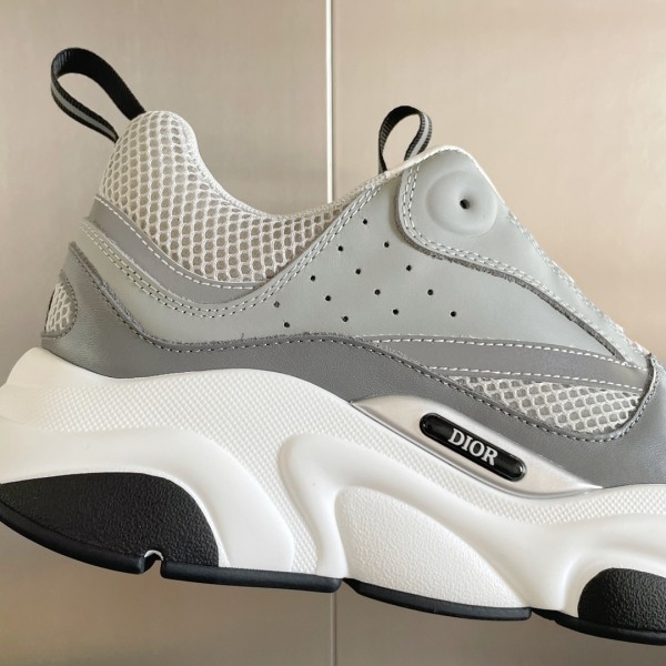 Dior B22 Grey White