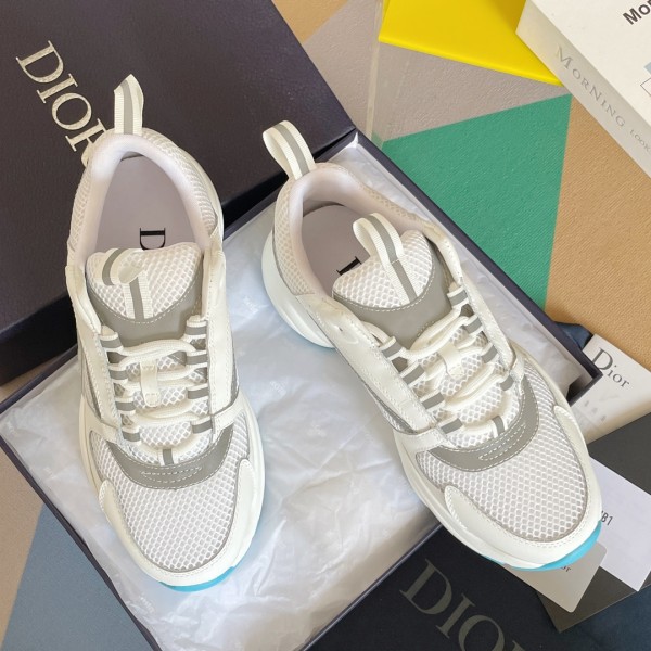 Dior B22 White Silver Blue