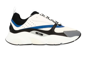 Dior B22 Blue White Grey