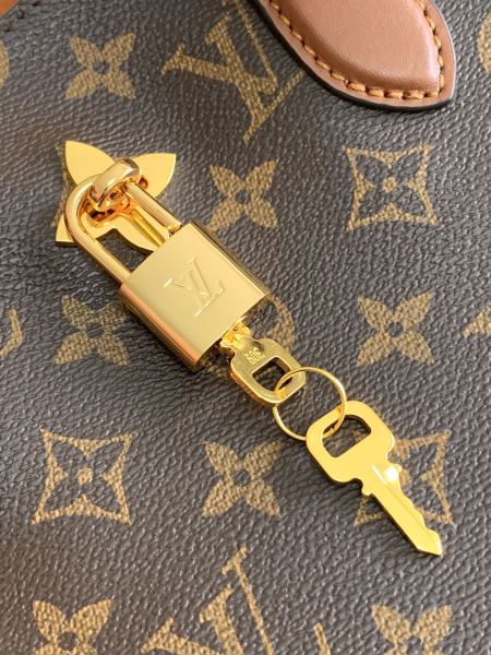  Handbag   Louis Vuitton  43556  size  34.0 x 24.0 x 13.0 cm