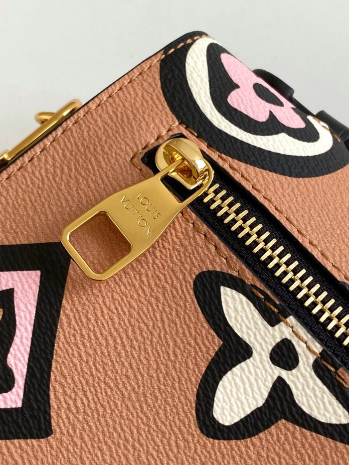 Handbag   Louis Vuitton  M45823  size  25 x 19 x 9  cm