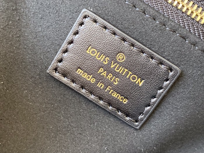  Handbag   Louis Vuitton  M45393   size  20*14*8  cm