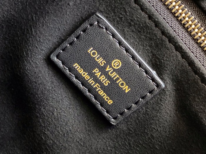  Handbag   Louis Vuitton  M45653