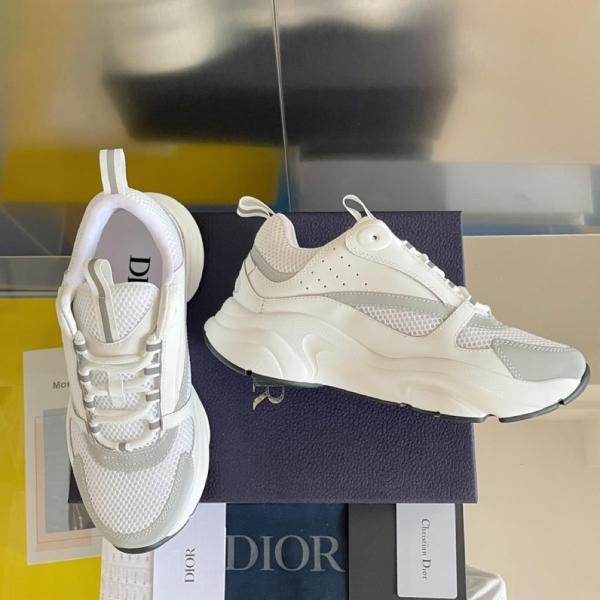 Dior B22 White Silver